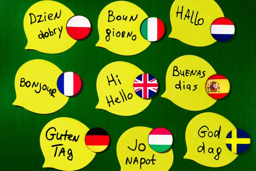 Multilingual Dil Alıştırmaları 4